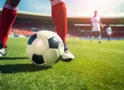 维斯塔潘卡,塔尔,夺冠,捷报体育首页,即时比分,比分直播,足球比分直播,捷报官网